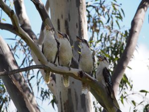 What is Disagreement? – Part II What is Disagreement? – Part II