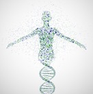 evolution-person